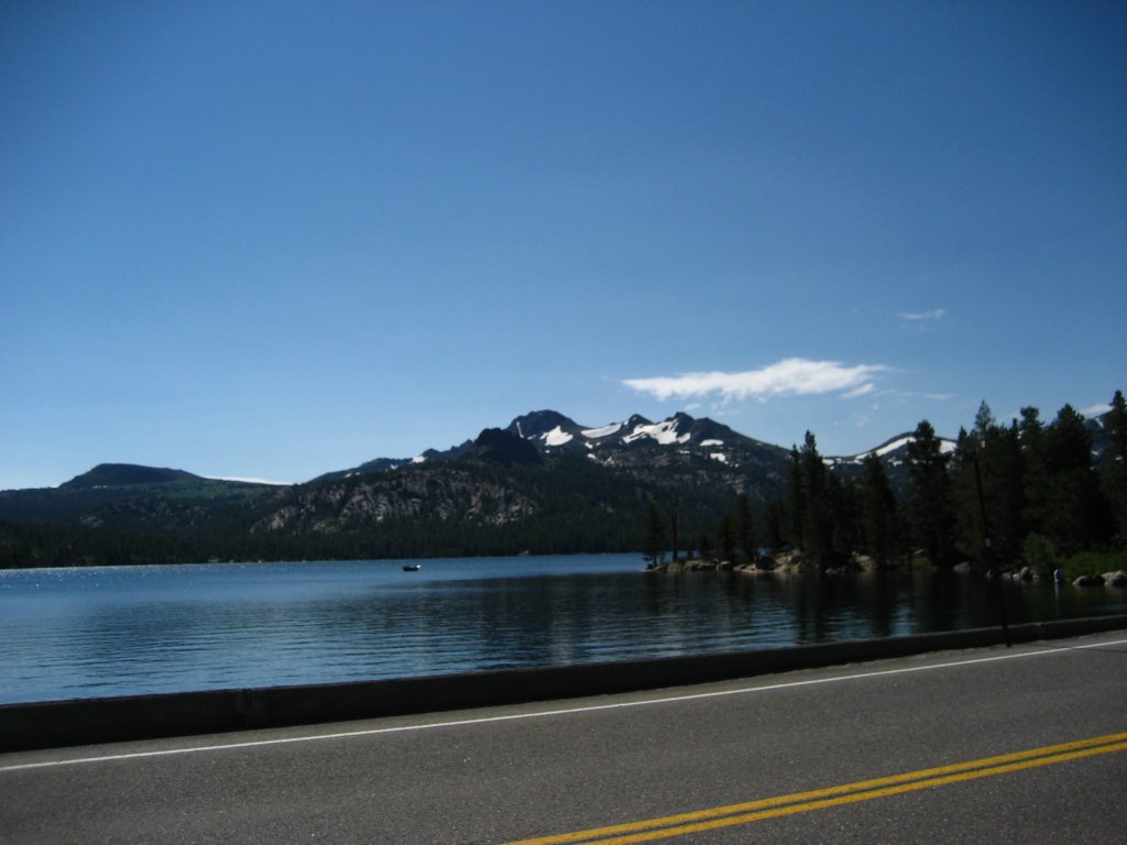 img_8530.jpg