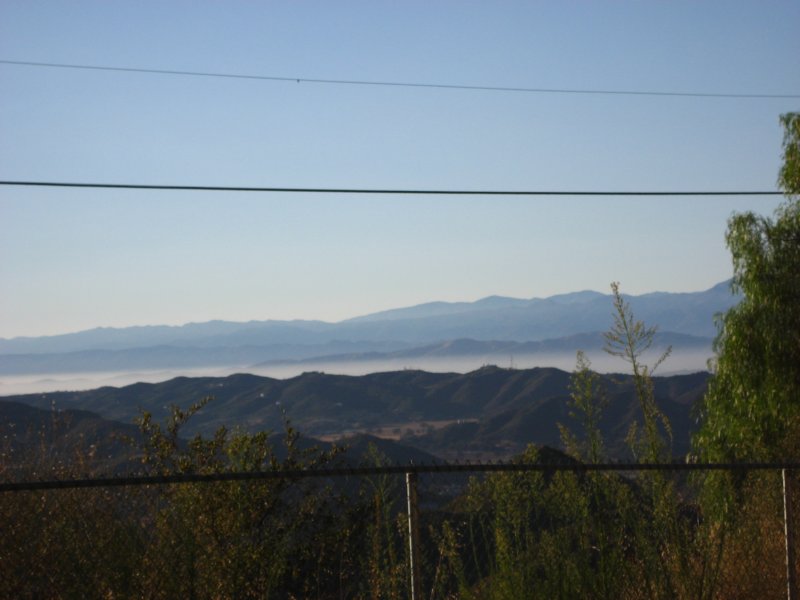 img_8847.jpg
